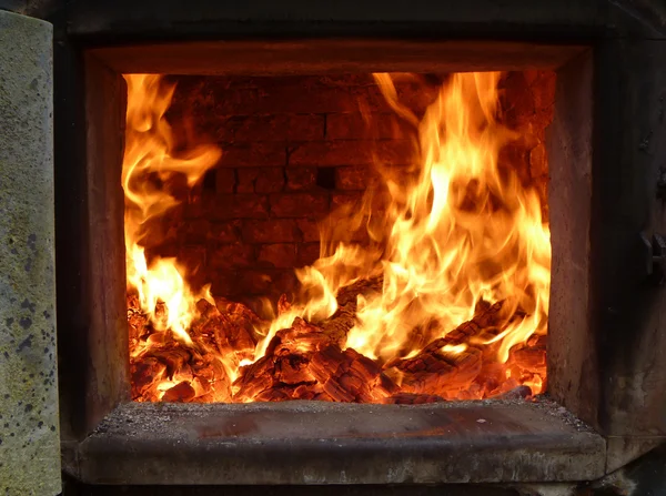 Firewood blaze in firebox