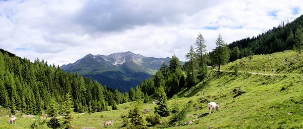 Hiking in the Texel Group in South Tyrol