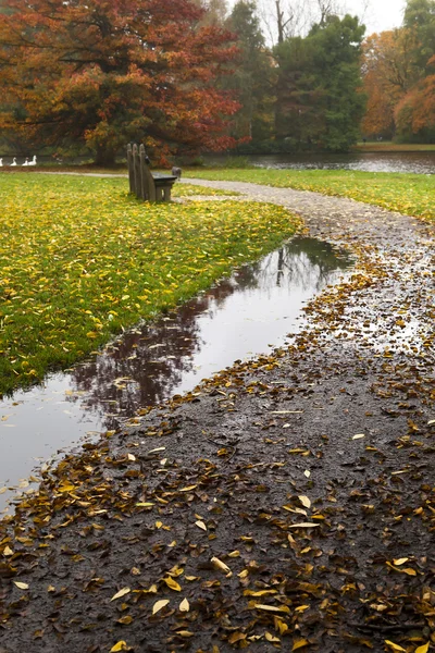 Puddle on path in autumn