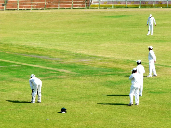 Cricket Match