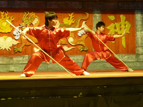 Chinese Martial Artist Performing on Stage
