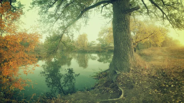 Vintage autumn landscape river