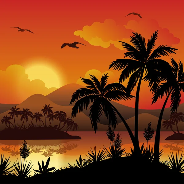 Tropical islands, palms, flowers and birds