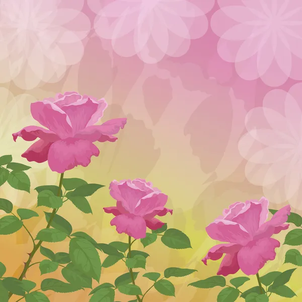 Holiday background with flower rose