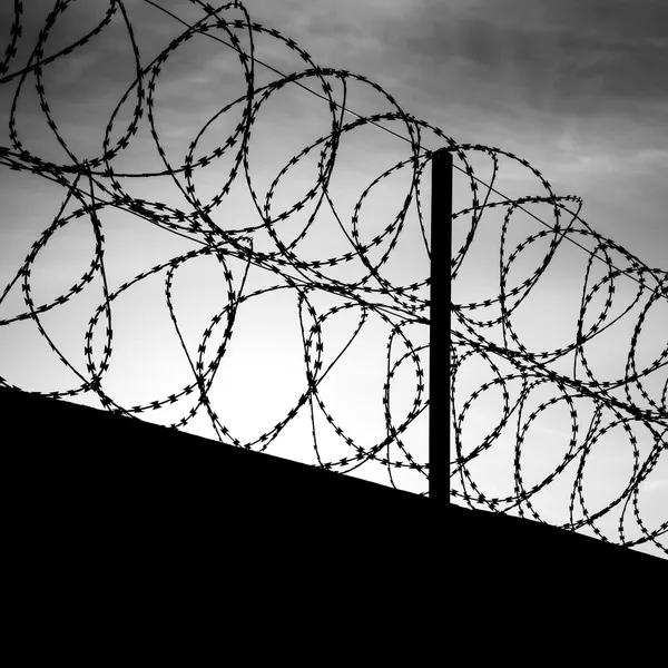 Barbed wire on dark fence. Monochrome shilouette photo