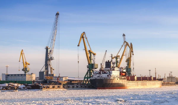 Bulk cargo ship loading with cranes, port of St.Petersburg, Russia