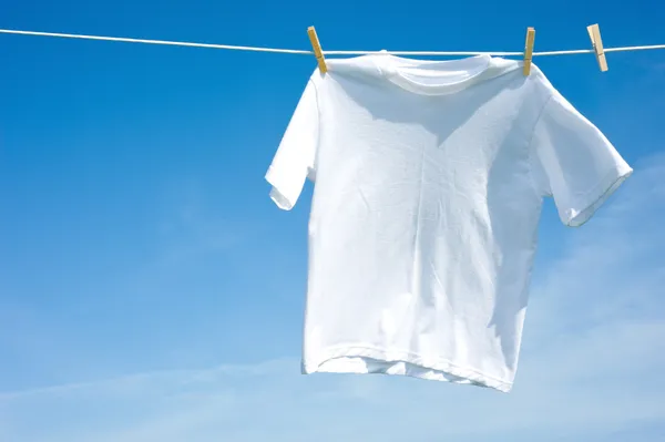 Plain White T-Shirt on a Clothesline