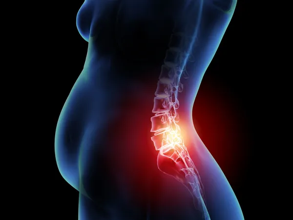 X-ray anatomy pregnancy spine