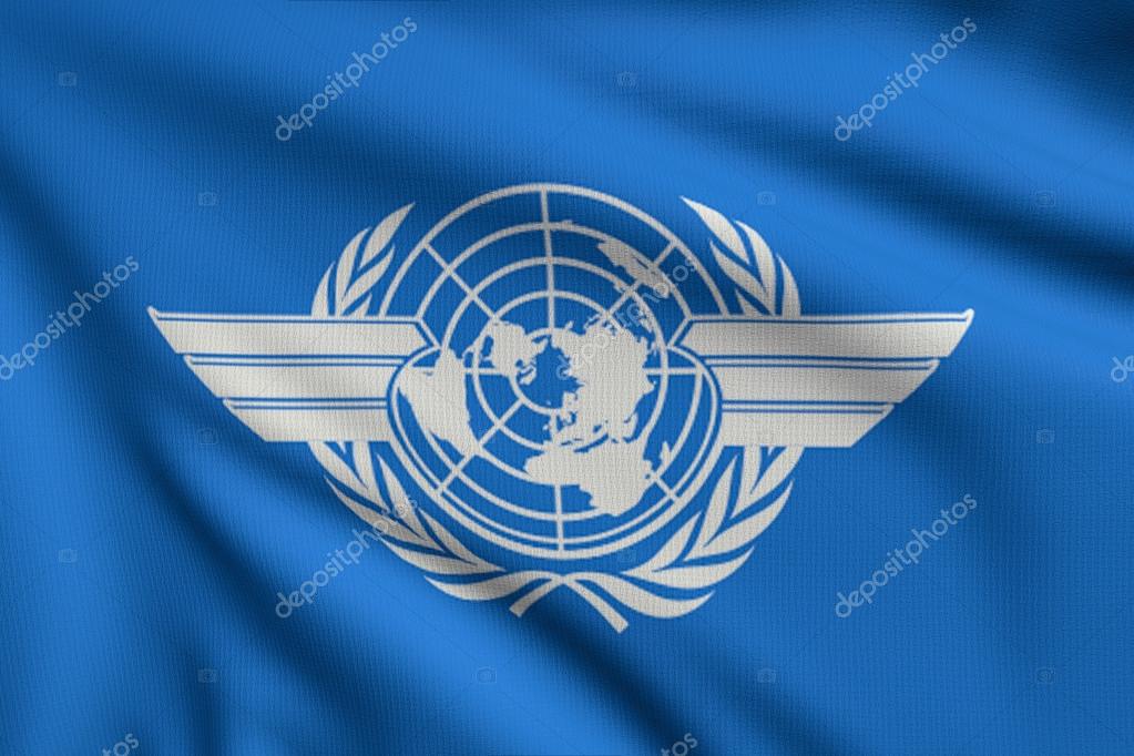 Image result for 国际民航组织