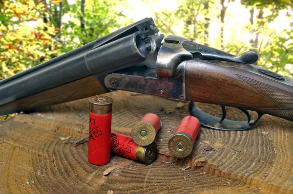 Shotgun and its cartridges
