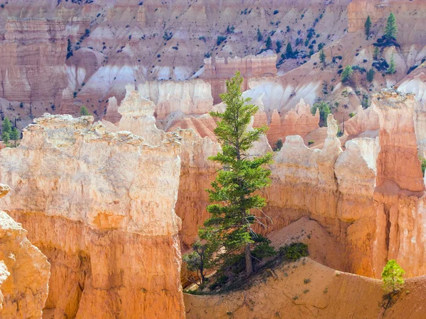 Beautiful landscape in Bryce Canyon with magnificent Stone forma