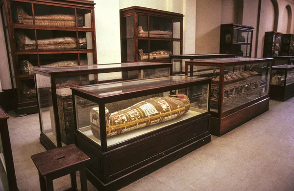 Mummies at the Egyptian Museum