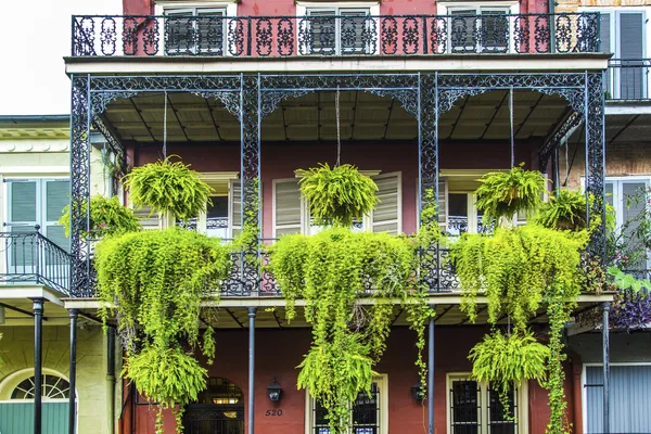 Old New Orleans houses in french Quarter