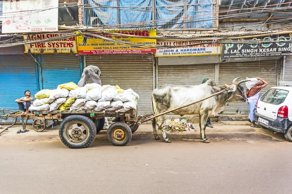 Ox cart transportation on early morning in old Delhi