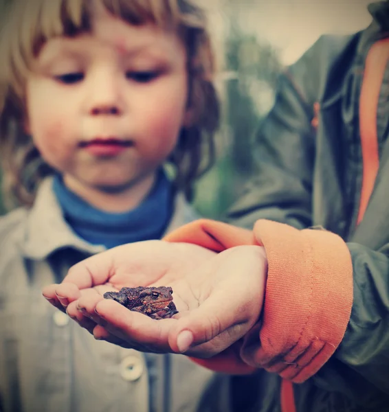 Children see a toad found in the forest