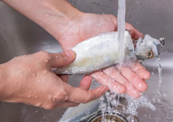 Washing Short Mackerel Fish