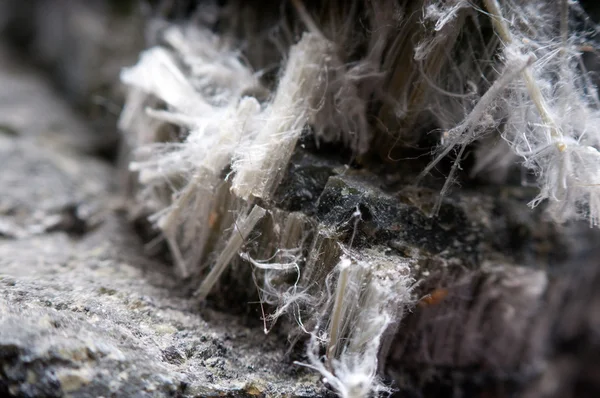 Asbestos fibers