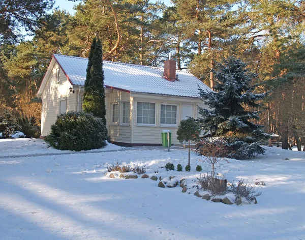 Winter. Cottage in the pine wood