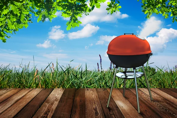 Kettle barbecue grill