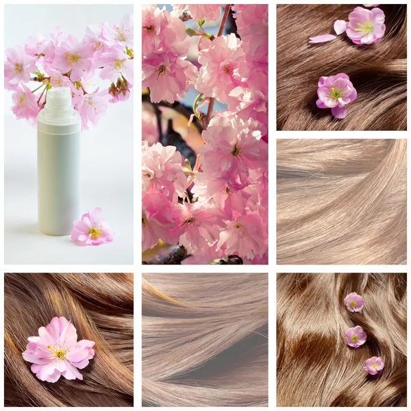 Collage of hair care and hair beauty images