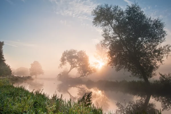 Beautiful foggy sunrise landscape over river with trees and sunb