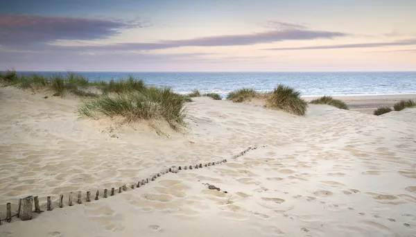 Grassy sand dunes landscape at sunrise