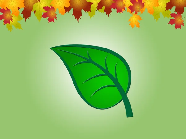 Nature Leaves Indicates Earth Day And Countryside