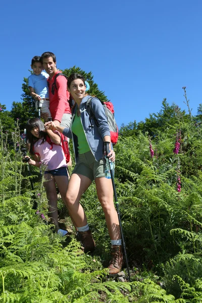 Family on a hiking day going down hill