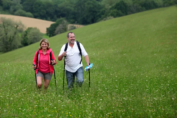 Senior couple hiking in countryside