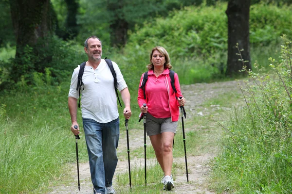 Retired elderly hiking in forest pathway