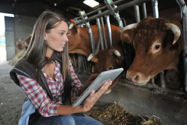 Woman in barn using electronic tablet