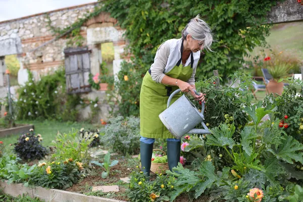 Senior woman watering vegetable garden — Stock Photo #35319933
