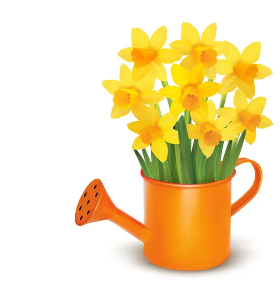Yellow fresh spring flowers in green watering can. Vector illustration