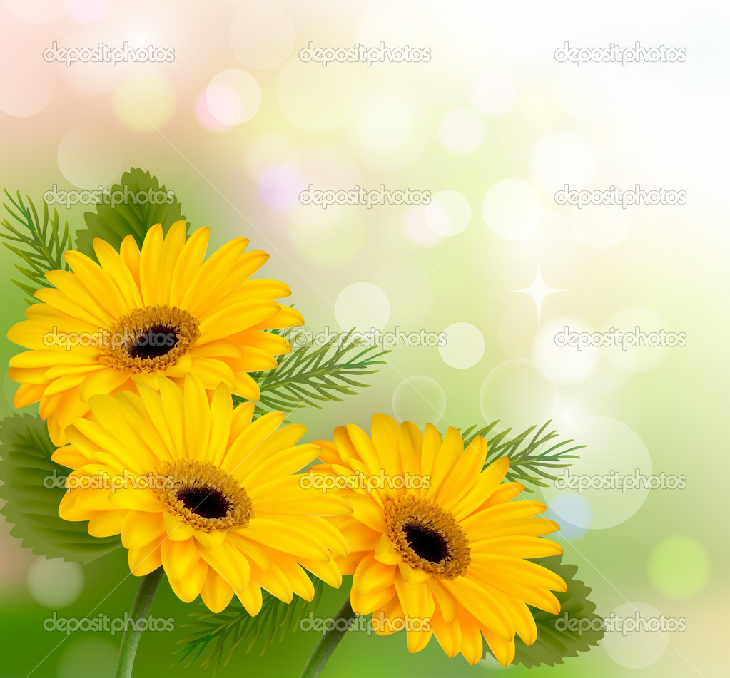 depositphotos_26336119-stock-illustratio