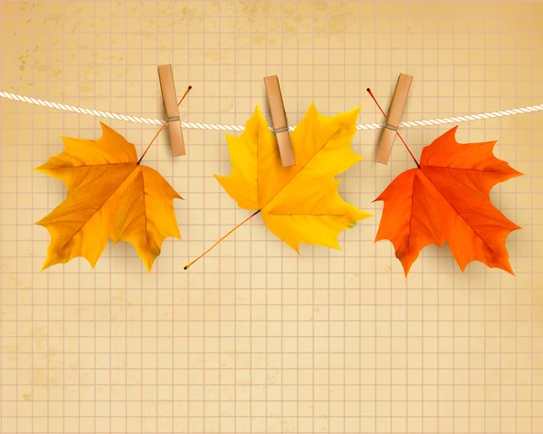 Autumn background with leaves. Back to school. Vector illustrati