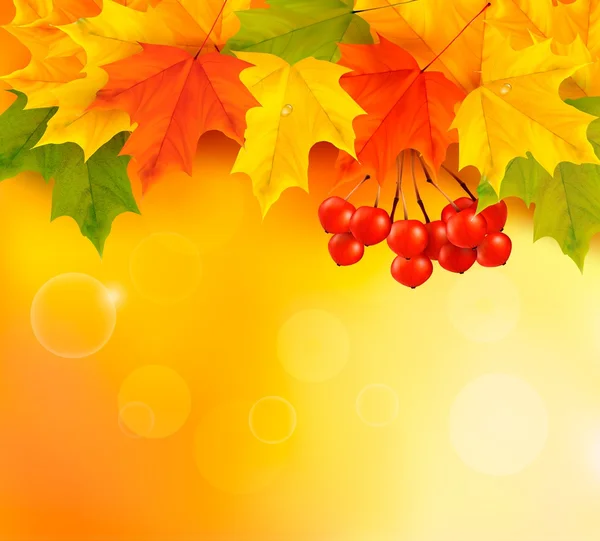 Autumn background with leaves and rowan. Back to school. Vector