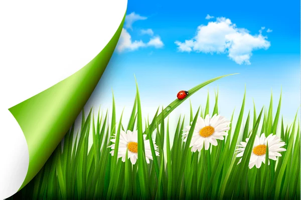 Spring background with flowers, grass and a butterfly. Vector.