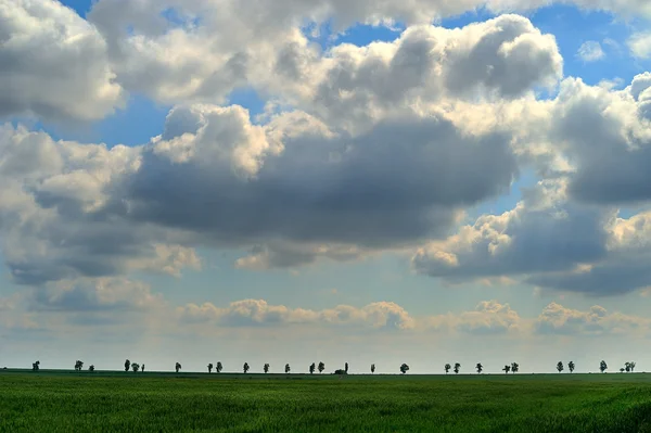 Green field and blue sky with light clouds