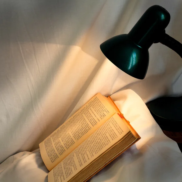 Book on pillow lit reading lamp