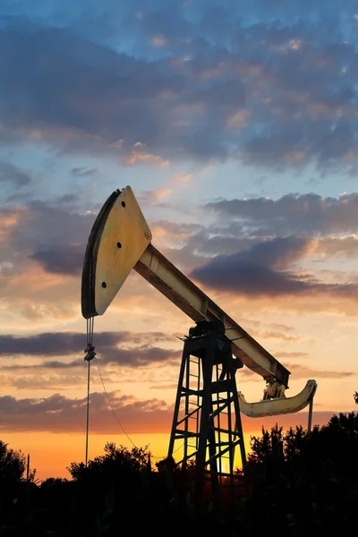 Oil extraction by pumpjack at summer sunset