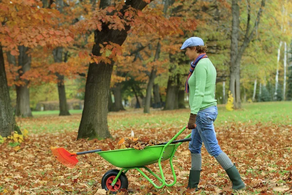 Autumn - woman raking autumn leaves in the garden