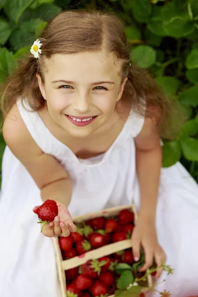 Strawberry time - young girl with picked strawberries