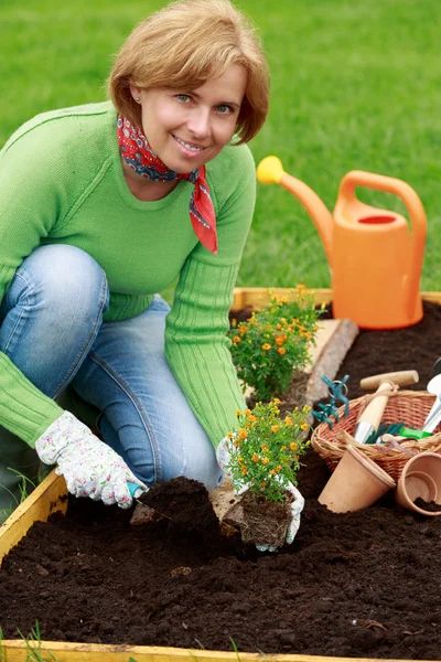 Gardening, planting - woman planting flowers in the garden