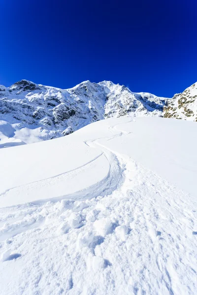 Ski, winter sport,  winter mountains - freeride in fresh powder