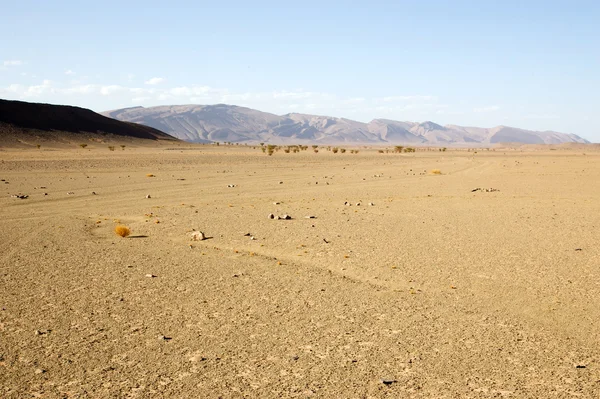 Flat desert landscape — Stock Photo #16488435