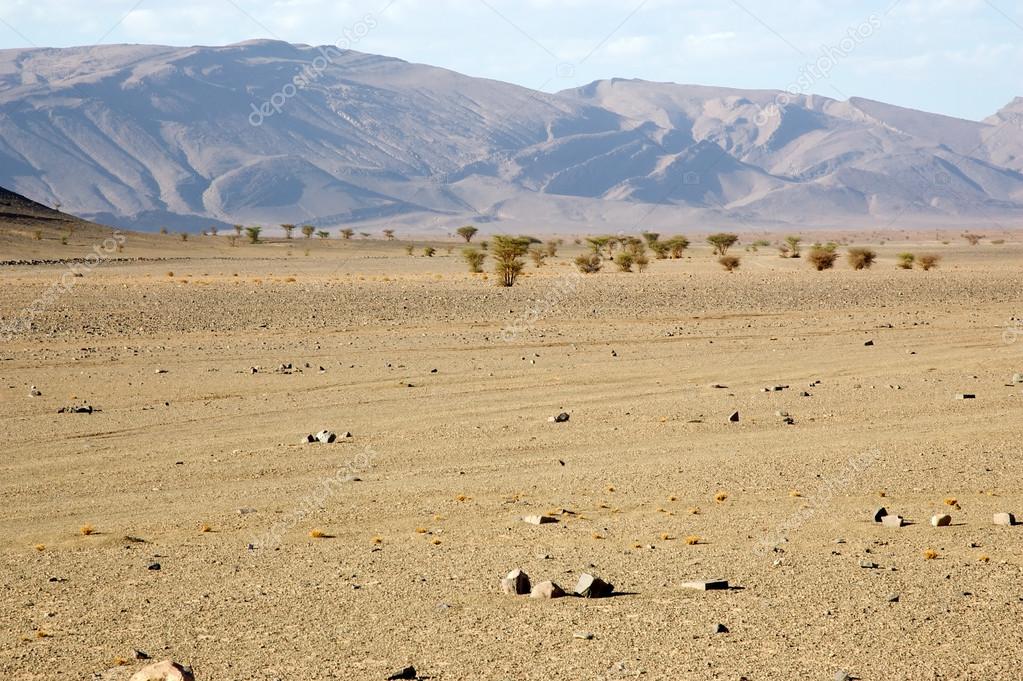 Flat desert landscape — Stock Photo © ajlber 16488445