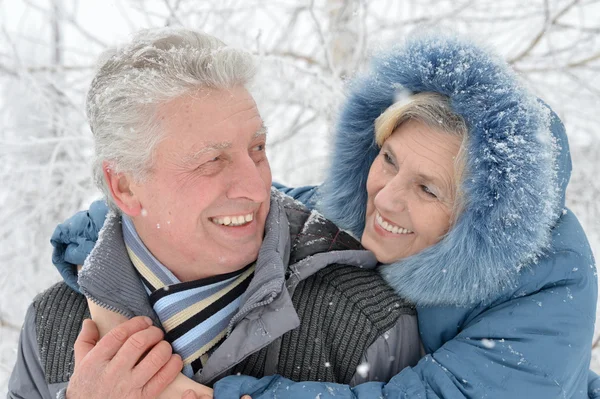 Senior couple in winter — Stock Photo #32065505