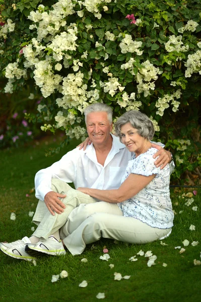 Happy elder couple resting on grass