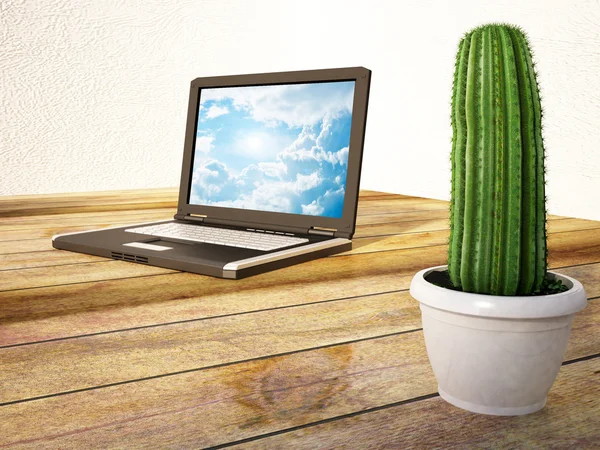 Cactus stands near a laptop