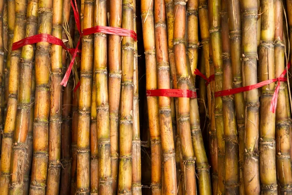 Bamboo sticks for sale